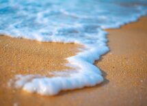 Panorama di Lignano Sabbiadoro con natura e arte