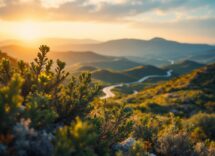 Immagine che rappresenta la rinascita culturale in Sardegna