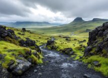 Panorama dell'Islanda durante un viaggio in auto