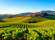 il fascino di castellina in chianti vino arte e tradizioni 1748606530