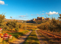 i migliori itinerari autunnali in puglia molise e campania 1752287349