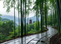 kyoto in una giornata di pioggia perche non dovresti rinunciare python 1753892382