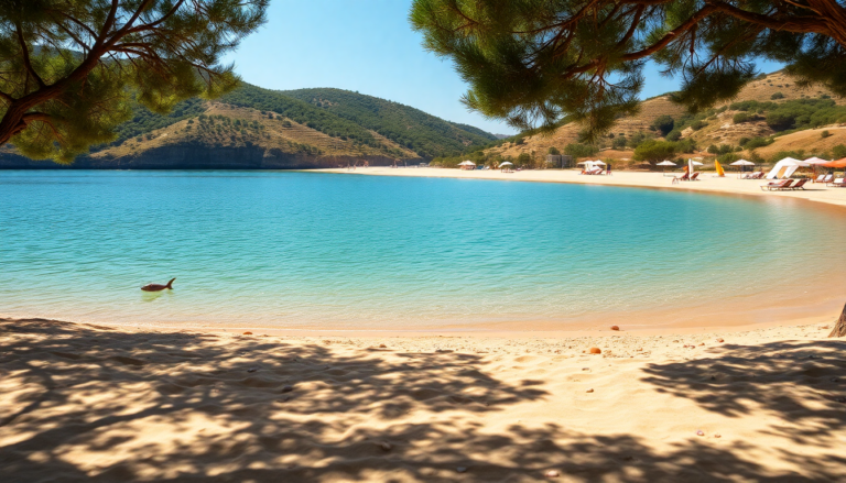 le spiagge tranquille delle marche da visitare a luglio 1751691814
