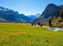 un viaggio tra i parchi nazionali e le mete da sogno 1751453484