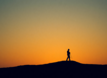 easy fish festival unesperienza culinaria da non perdere python 1756235505