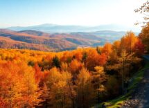 guida alla slovenia cosa fare e vedere in autunno estate e inverno python 1757429269