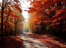 le 10 migliori localita vicino a roma per ammirare il foliage autunnale 1759987712