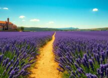 weekend da sogno in provenza scopri lavanda e storia 1765794970